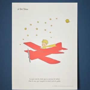 Affiche Petit Prince Avion - Oneart