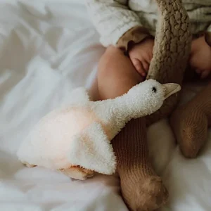 Peluche lumineuse Oie