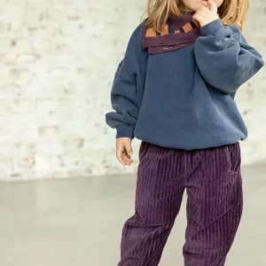 Pantalon Palaki Velours Mauve