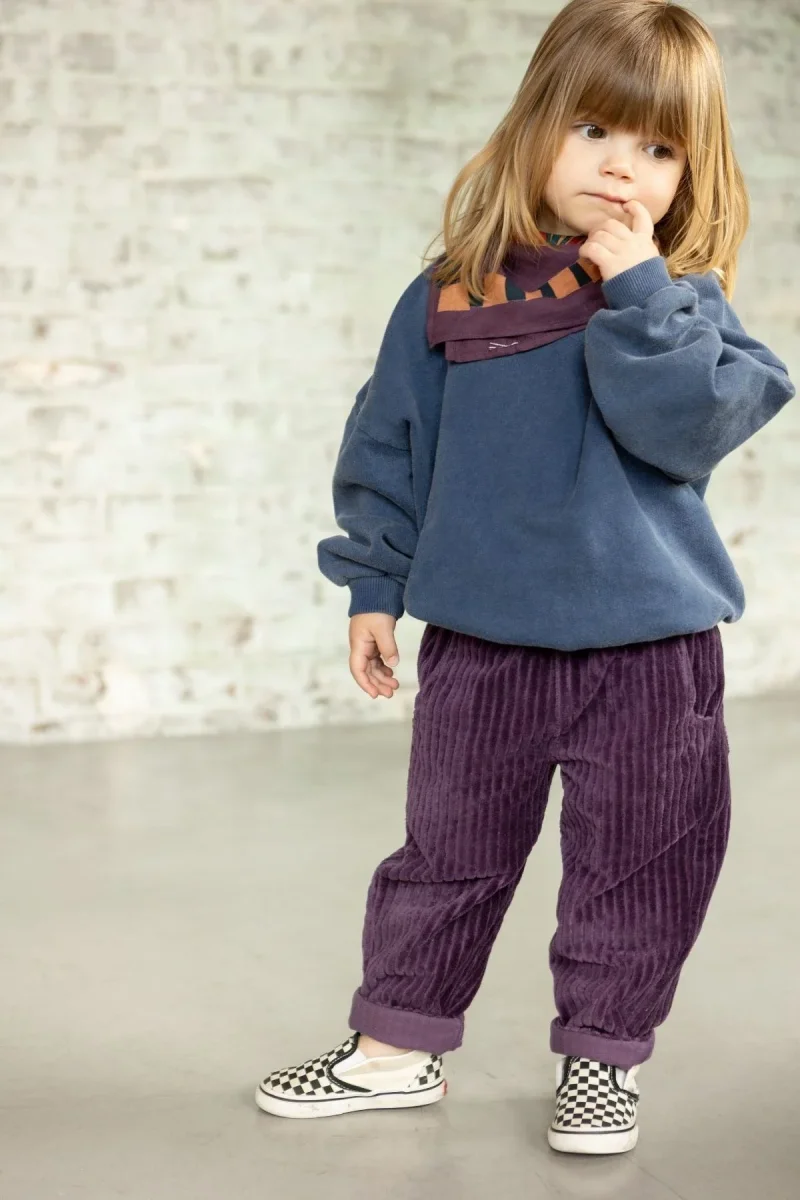 Pantalon Palaki Velours Mauve